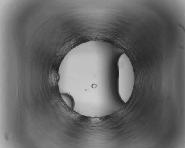 X0000102530287200808081100
