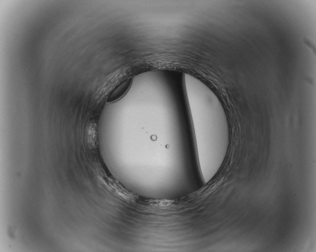 X0000102530288200808081100