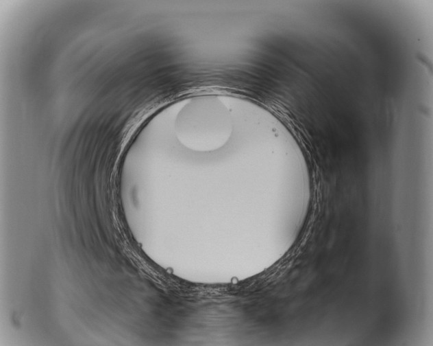 X0000102530289200808081059