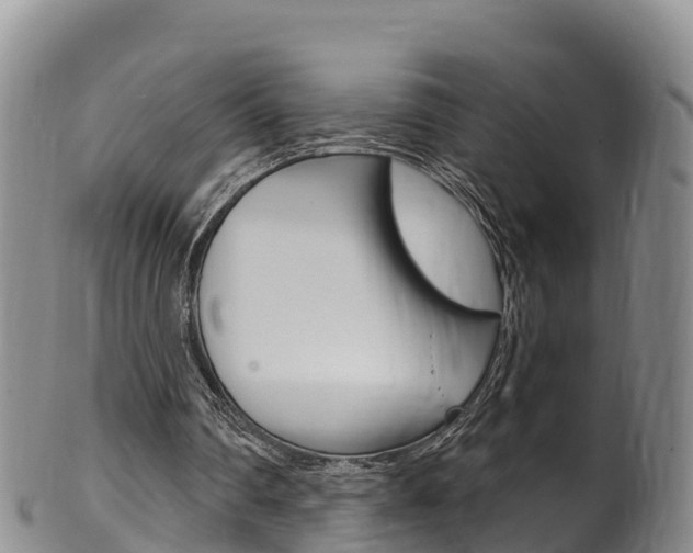 X0000102530290200808081059