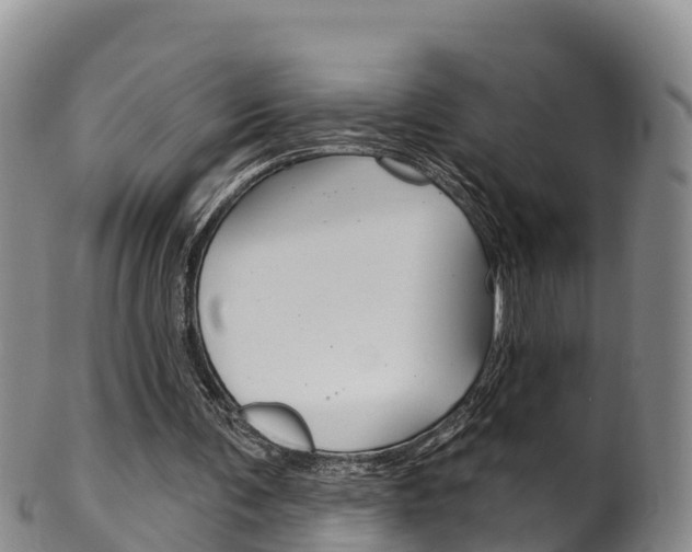 X0000102530291200808081059