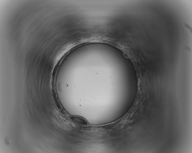 X0000102530292200808081059