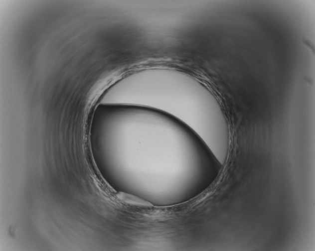 X0000102530293200808081059