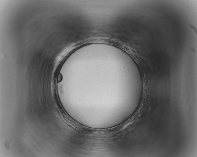 X0000102530294200808081059