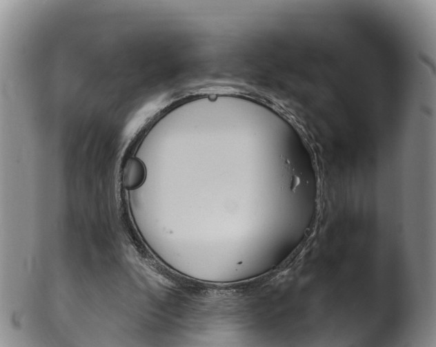 X0000102530296200808081059