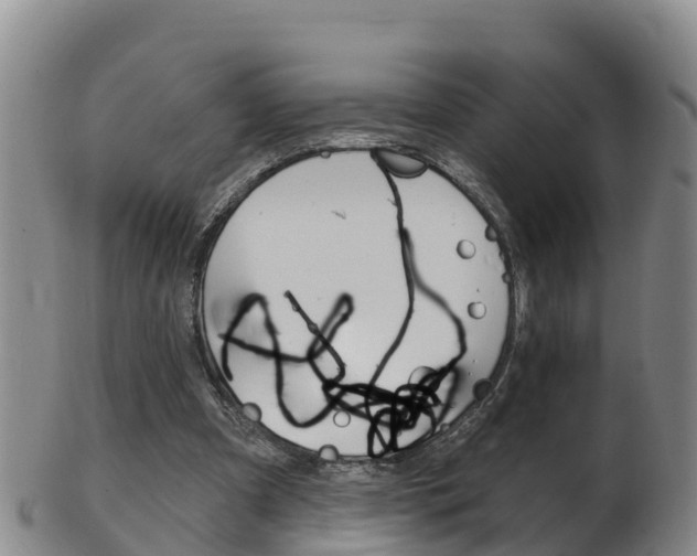 X0000102530297200808081059