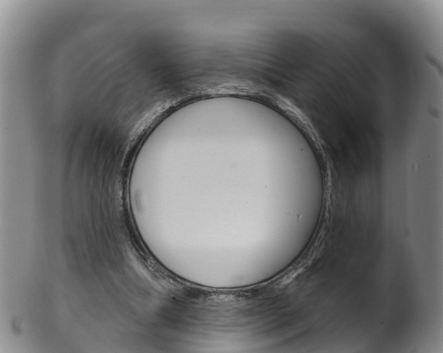 X0000102530298200808081059