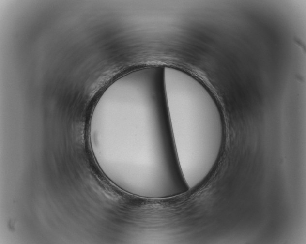 X0000102530299200808081059
