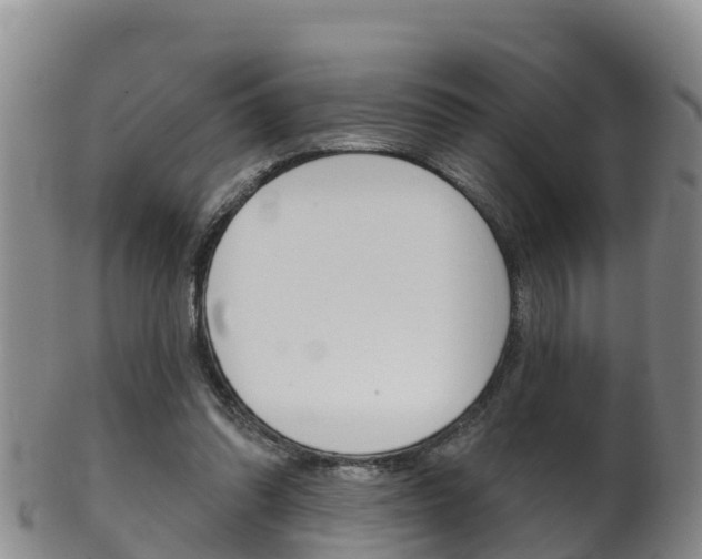 X0000102530302200808081059