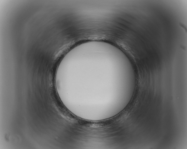X0000102530303200808081059