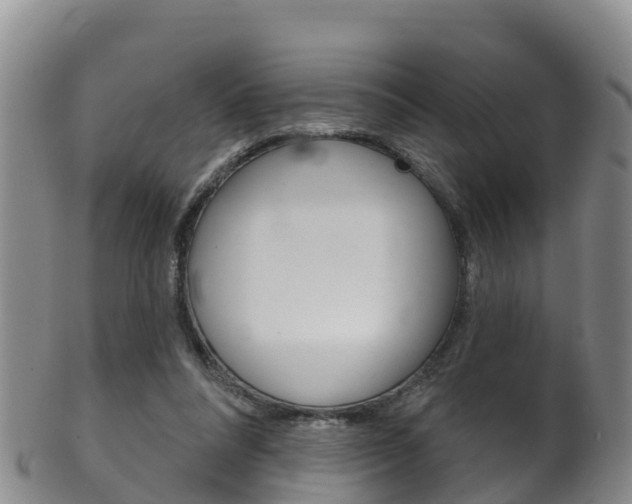 X0000102530304200808081059