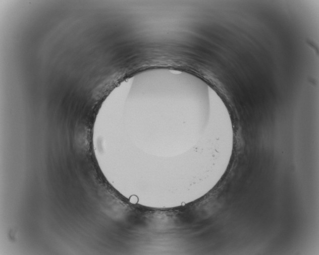 X0000102530305200808081059