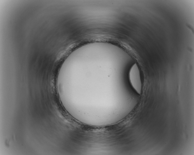 X0000102530306200808081059