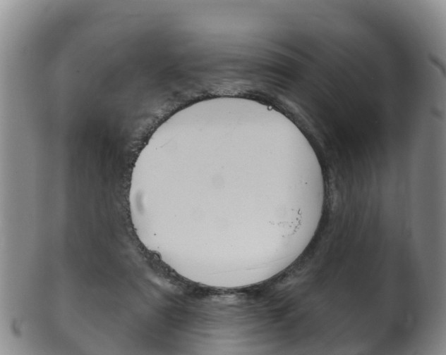 X0000102530307200808081059