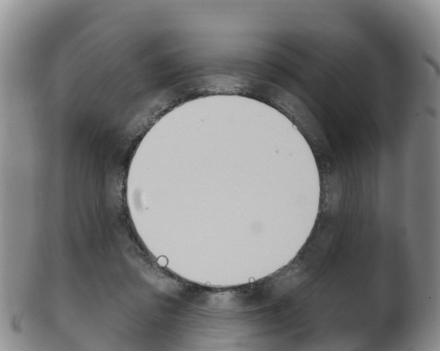 X0000102530309200808081059