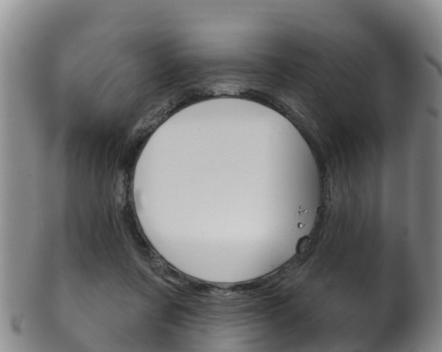 X0000102530311200808081059