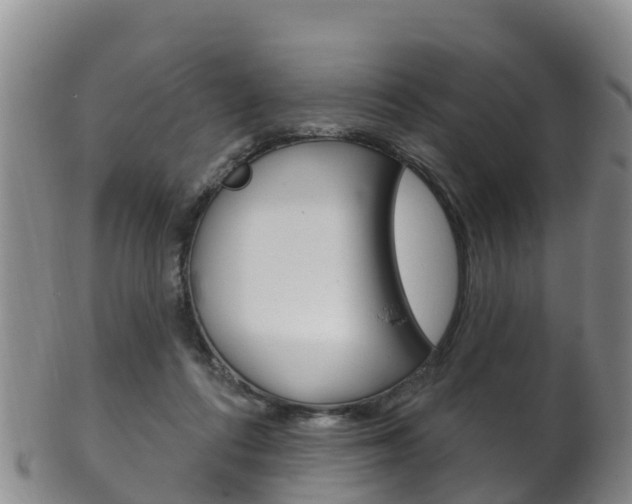 X0000102530312200808081059