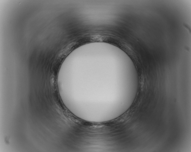 X0000102530314200808081059
