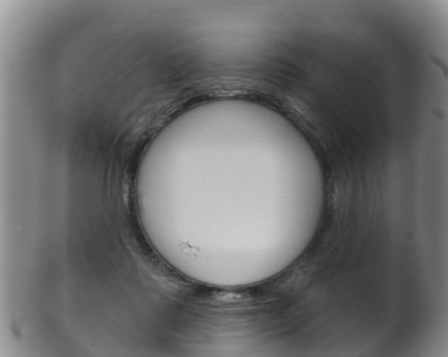 X0000102530315200808081059