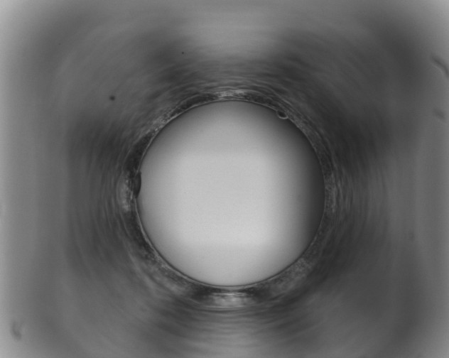 X0000102530316200808081058