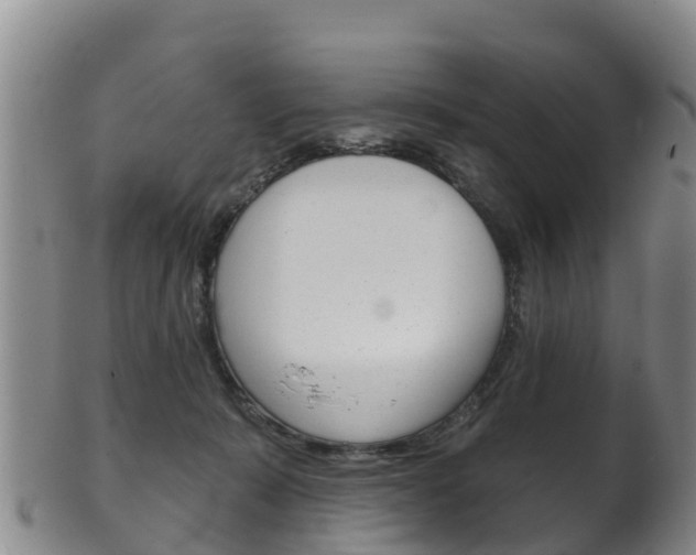 X0000102530319200808081058