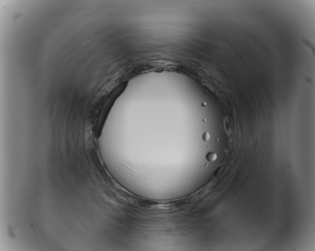 X0000102530320200808081058
