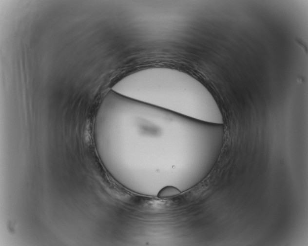 X0000102530323200808081058