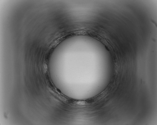 X0000102530324200808081058