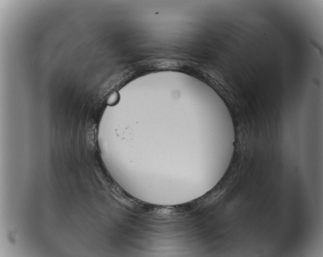 X0000102530325200808081058