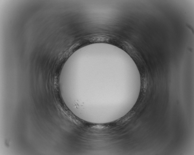 X0000102530326200808081058