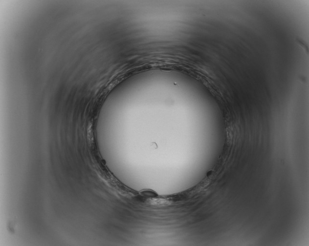 X0000102530327200808081058