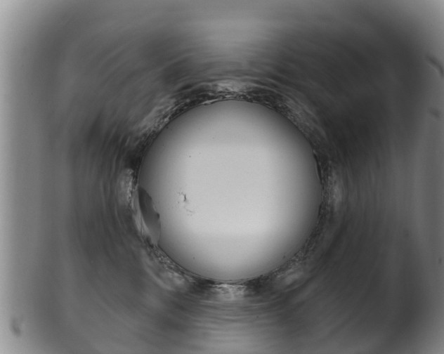 X0000102530328200808081058