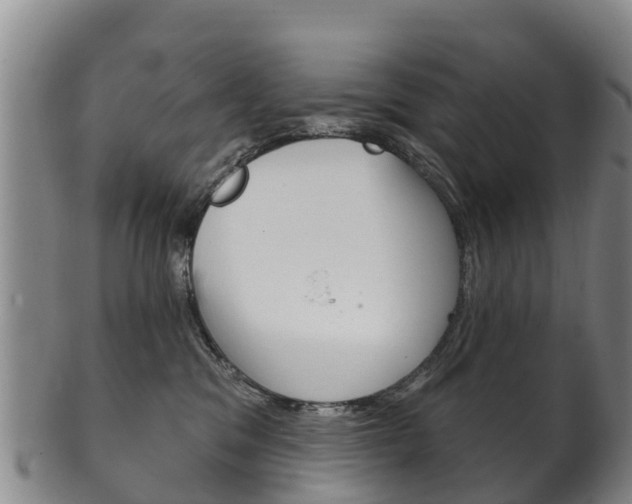 X0000102530329200808081058