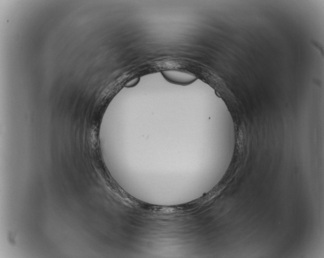 X0000102530330200808081058