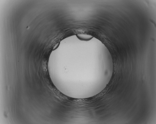 X0000102530331200808081058