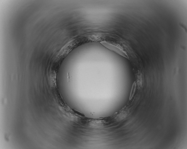 X0000102530332200808081058