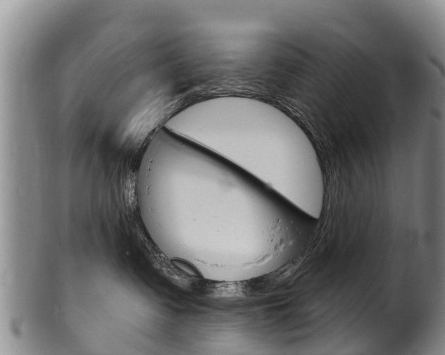 X0000102530335200808081058