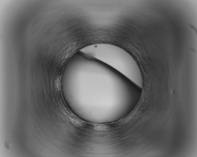 X0000102530336200808081058
