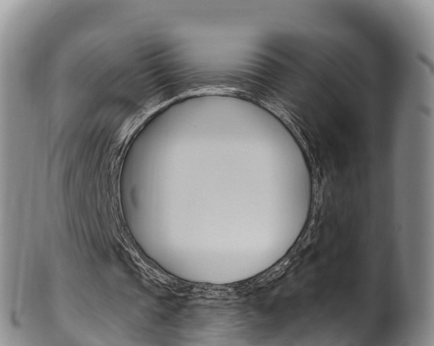 X0000102530337200808081058