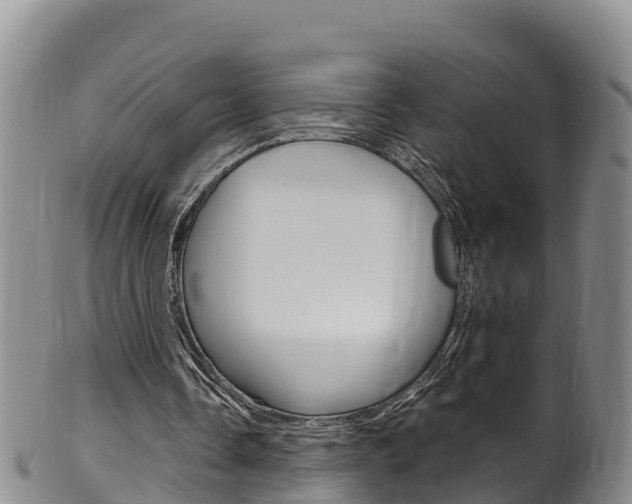 X0000102530338200808081058
