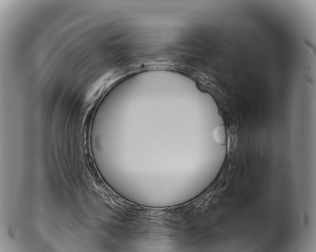 X0000102530339200808081058
