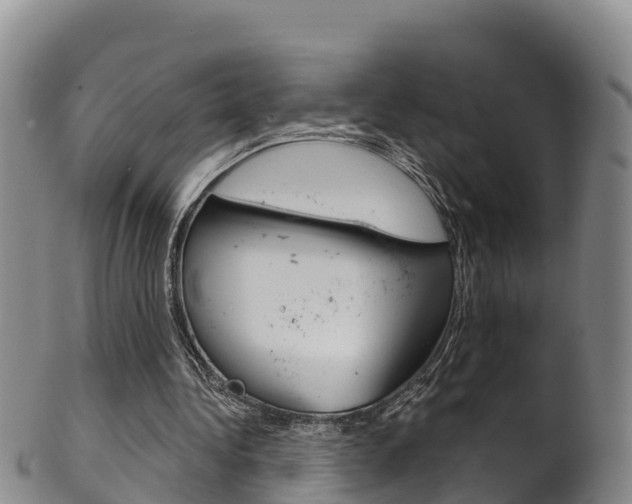 X0000102530340200808081058