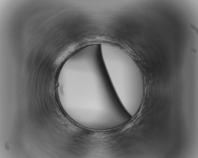 X0000102530341200808081058