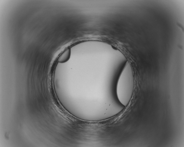 X0000102530342200808081058