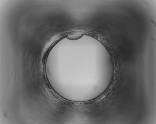 X0000102530343200808081058