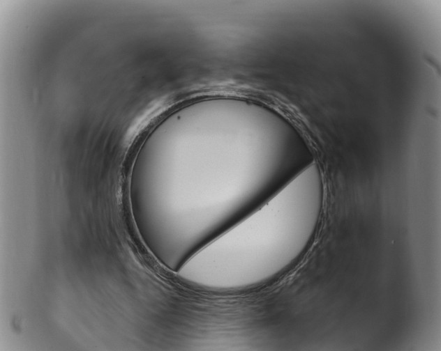 X0000102530344200808081058