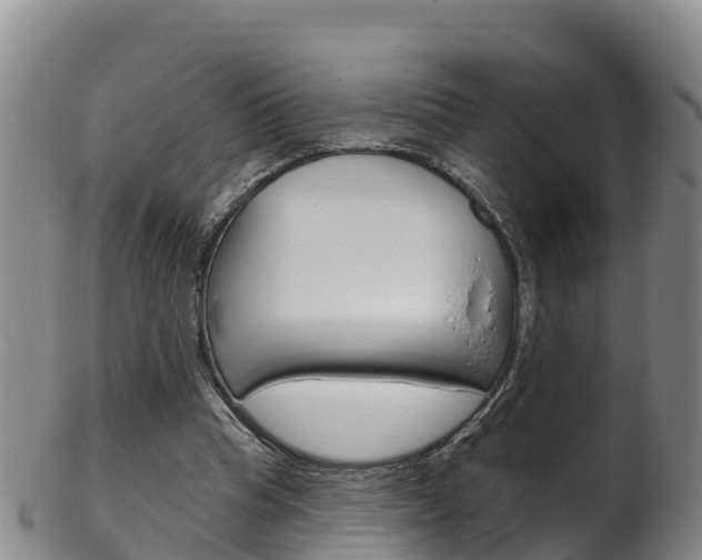 X0000102530345200808081058