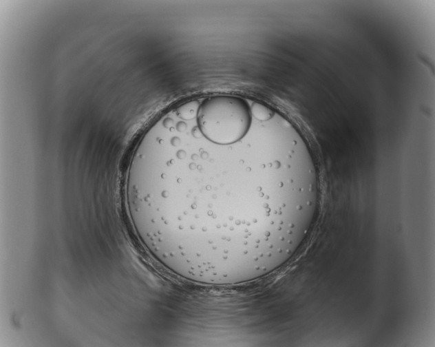 X0000102530346200808081058