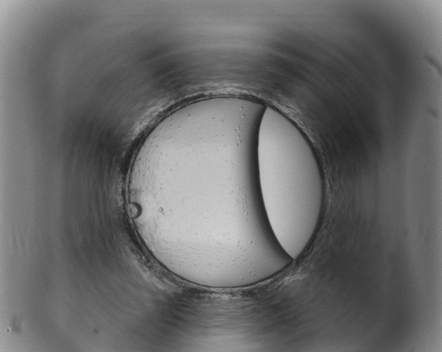 X0000102530347200808081058