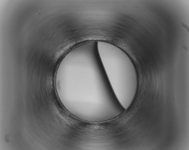 X0000102530348200808081058